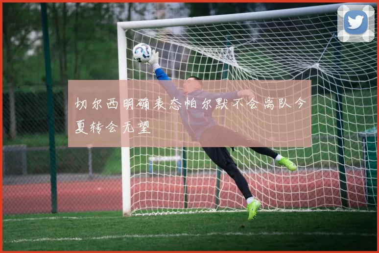 切尔西明确表态帕尔默不会离队今夏转会无望