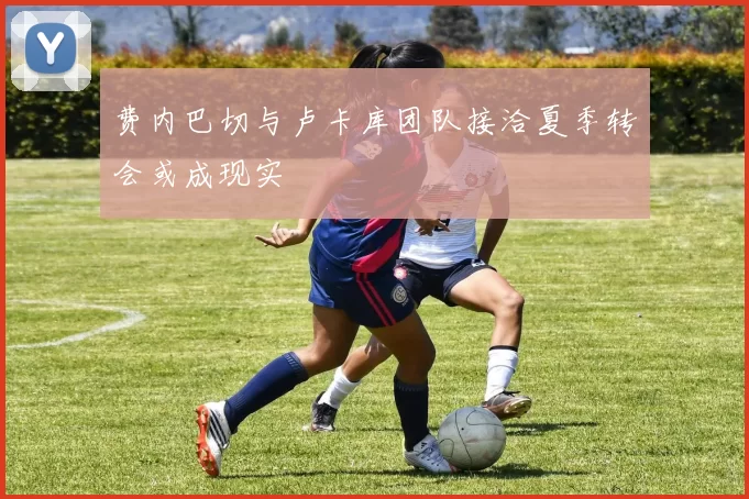 费内巴切与卢卡库团队接洽夏季转会或成现实