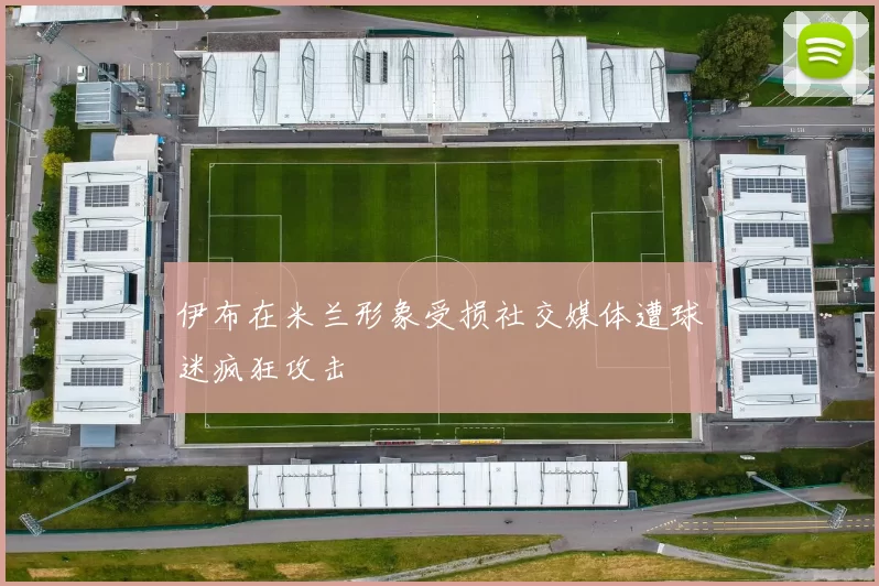 伊布在米兰形象受损社交媒体遭球迷疯狂攻击