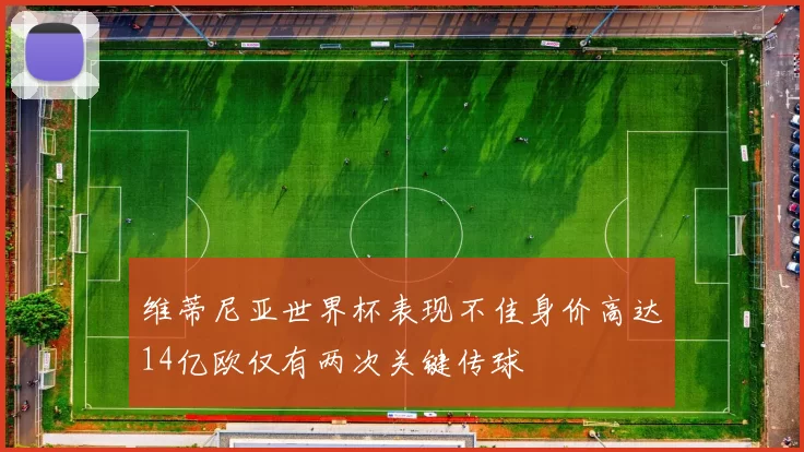 维蒂尼亚世界杯表现不佳身价高达14亿欧仅有两次关键传球