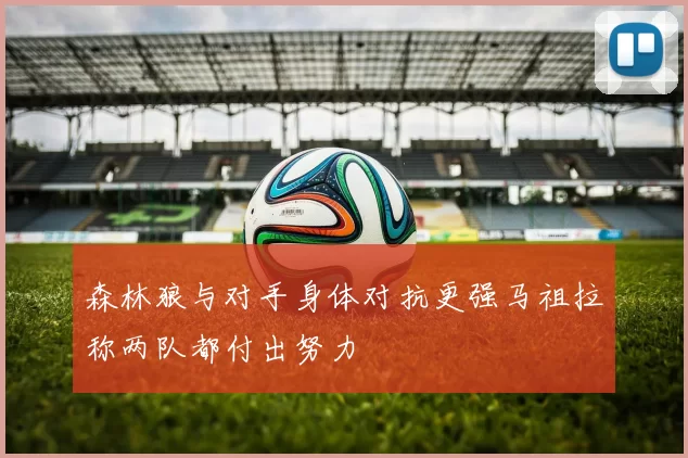 森林狼与对手身体对抗更强马祖拉称两队都付出努力