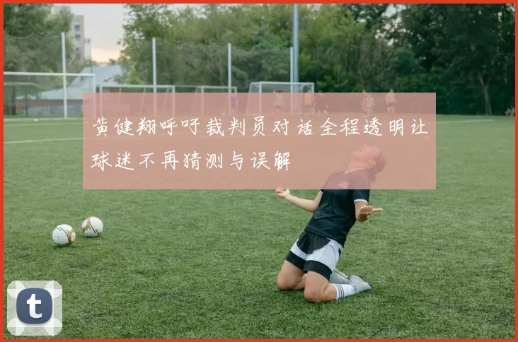 黄健翔呼吁裁判员对话全程透明让球迷不再猜测与误解